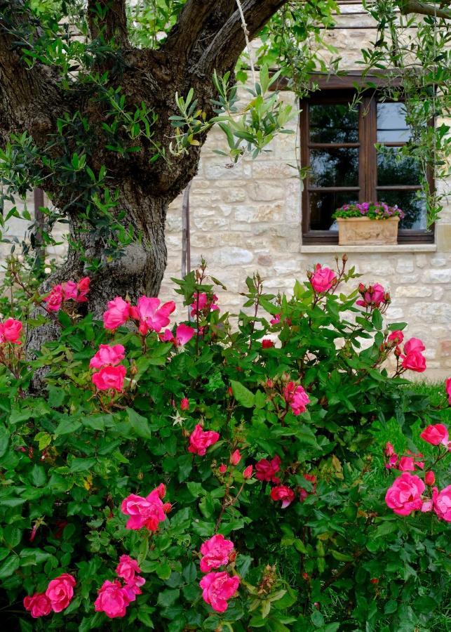 Villa Le Mandrie Di San Paolo Assisi Exterior foto