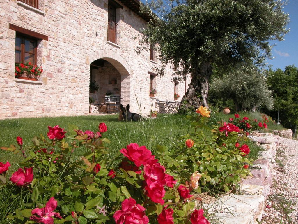 Villa Le Mandrie Di San Paolo Assisi Exterior foto